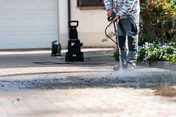 Best Pressure Washing Company Near Me  in Leo Cedarville, IN